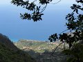 SAM_3923