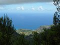 SAM_3924