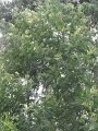 SAM_3939