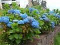 SAM_3942