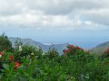 SAM_3945