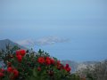 SAM_3947