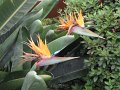 SAM_3955