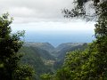 SAM_3967