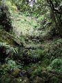 SAM_3970