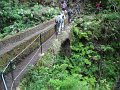 SAM_3973