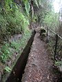 SAM_3977