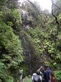 SAM_3984