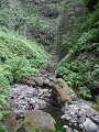 SAM_4018