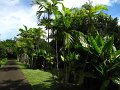 IMG_8313