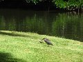 IMG_8332