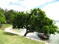 IMG_8368