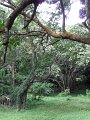 SAM_0925