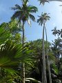 SAM_0931