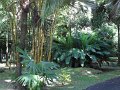 SAM_0932