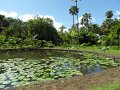 SAM_0947