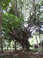 SAM_0949