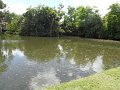 SAM_0952