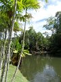 SAM_0953