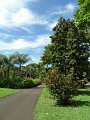 SAM_0965