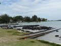 SAM_0977